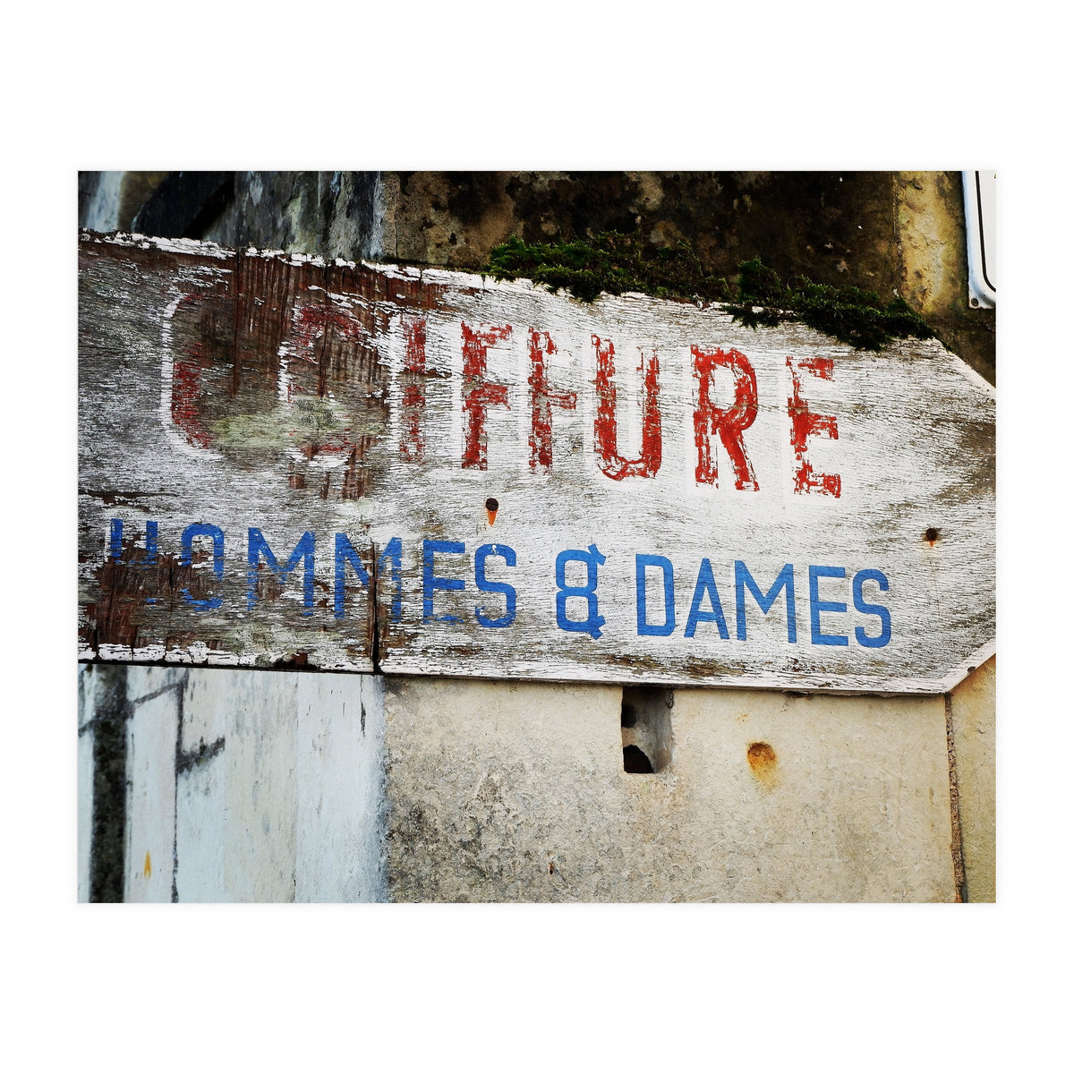 E3 F3226 F 3 Bdc 4379 8 C4 F Cbee394 B1236 (Print Only)