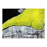 Female Act 23 (Print Only) thumbnail