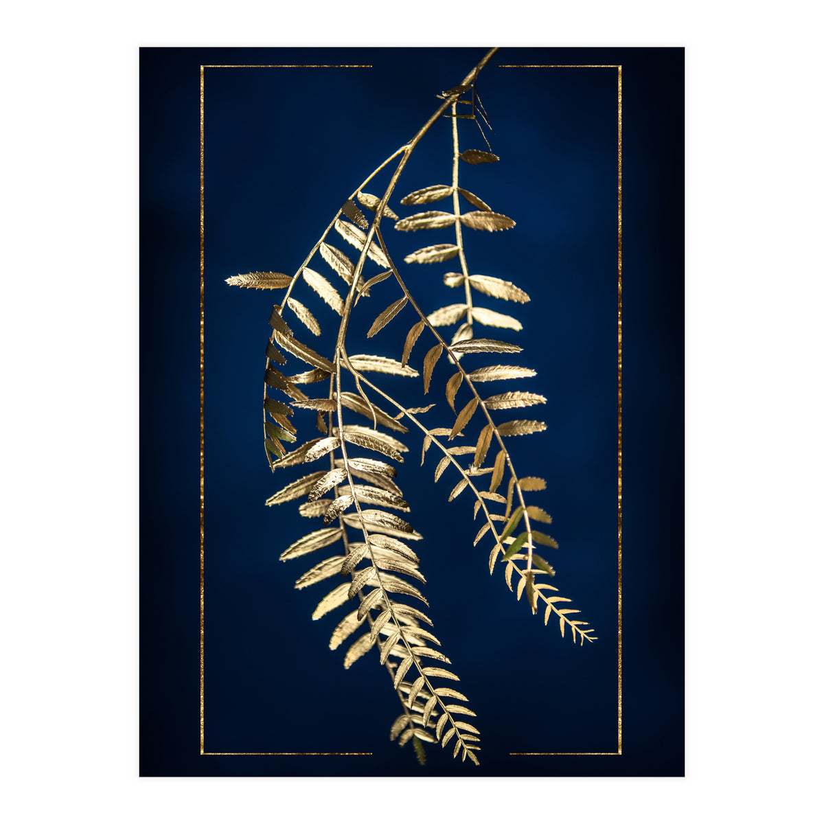 Golden Pepper Tree (Print Only)