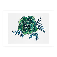 Rose Cactus (Print Only)