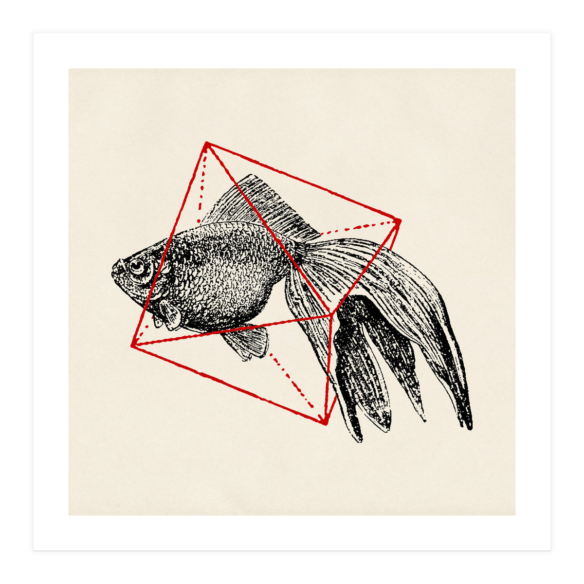 Fish In Geometrics III (Square) (Print Only)