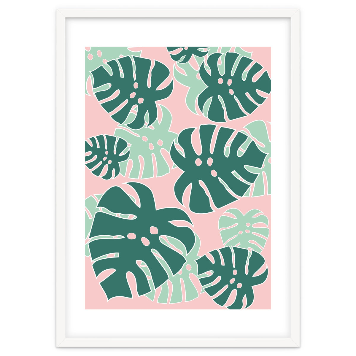 Monstera Tropical
