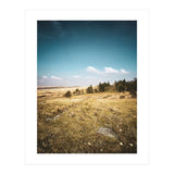 Dartmoor  (Print Only) thumbnail
