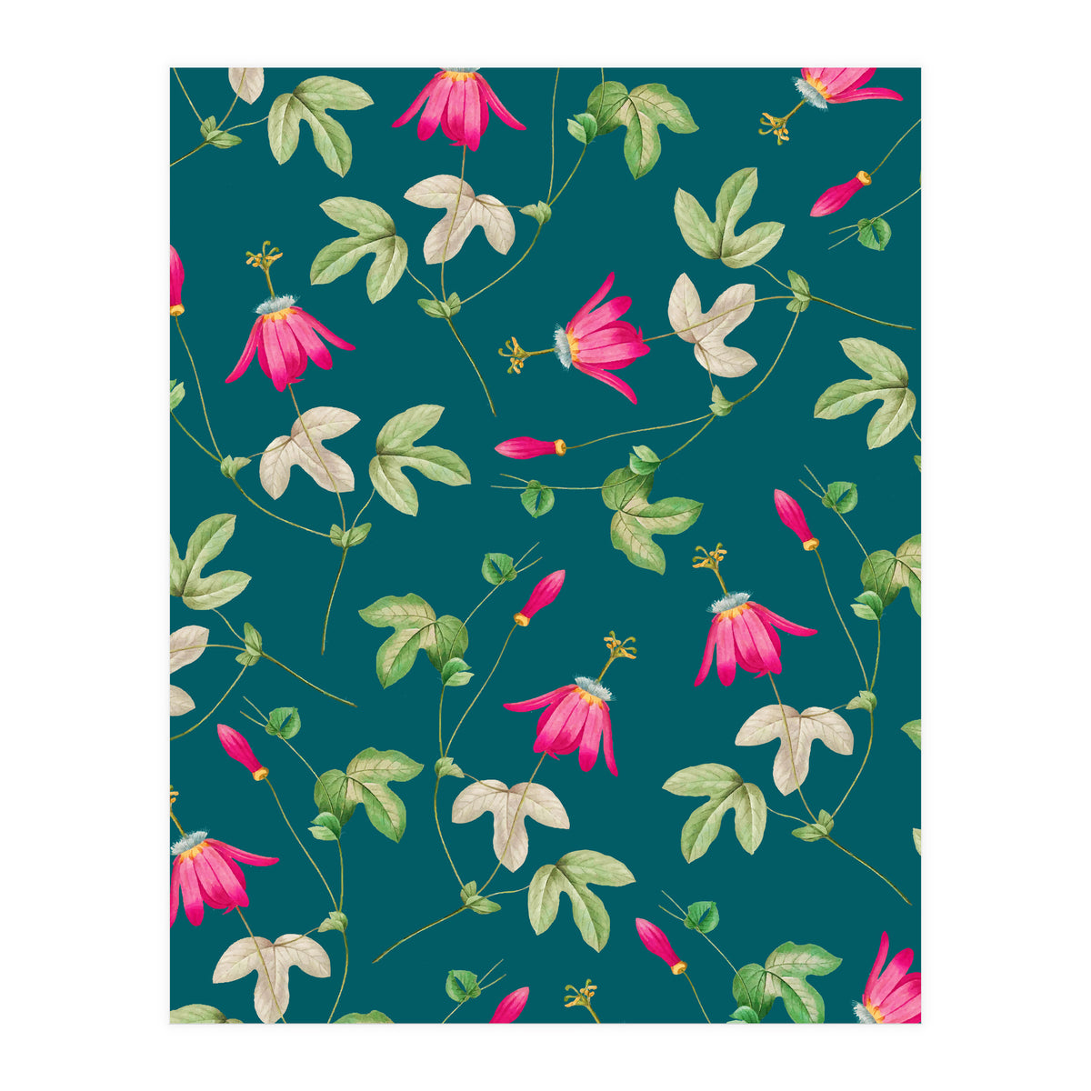 Art Of Nature (Print Only)