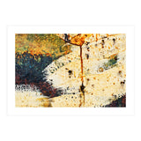 Zara (Print Only) thumbnail