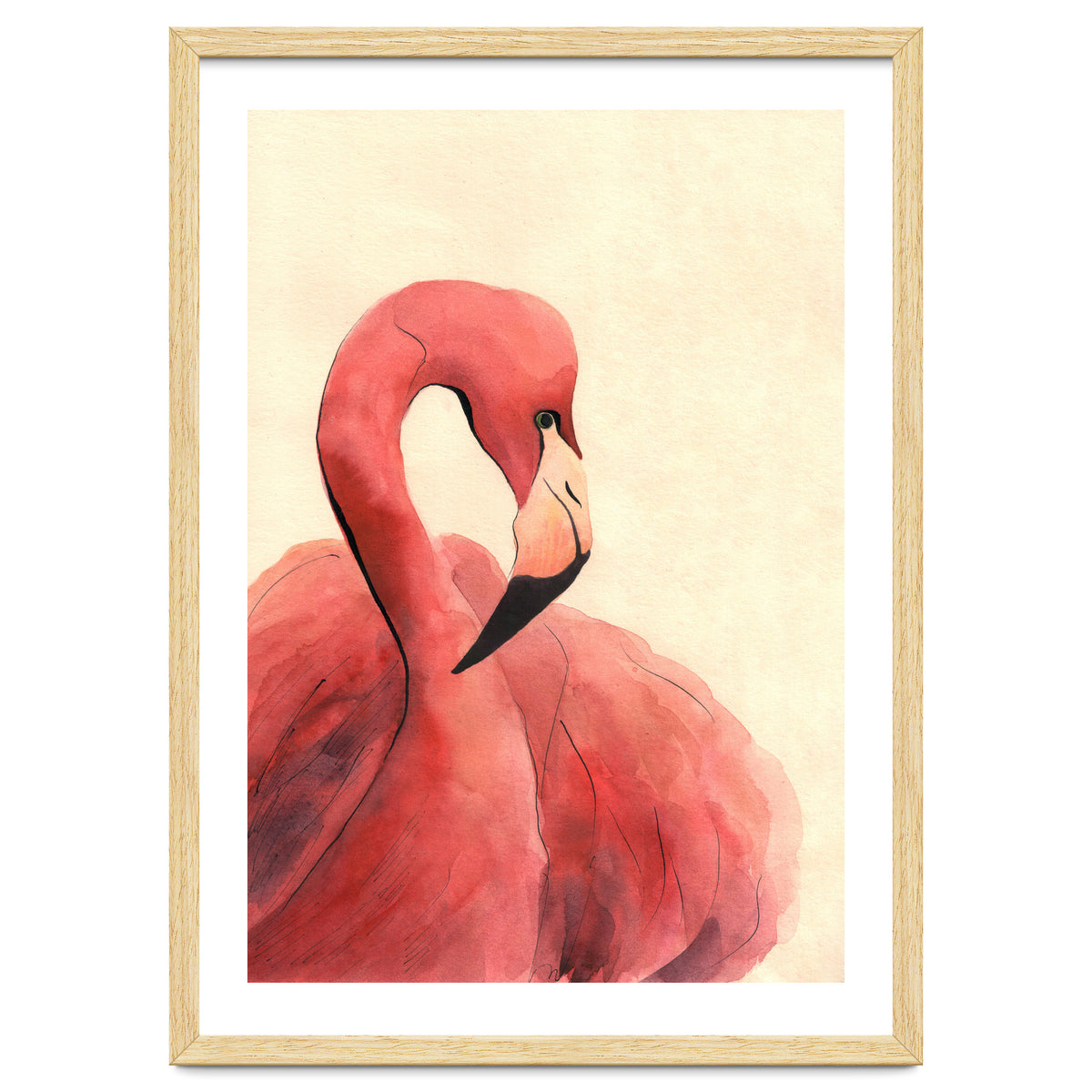 Flamingo