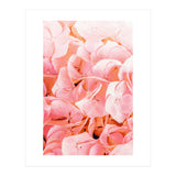 Blushing (Print Only) thumbnail