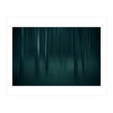 transience  (Print Only) thumbnail