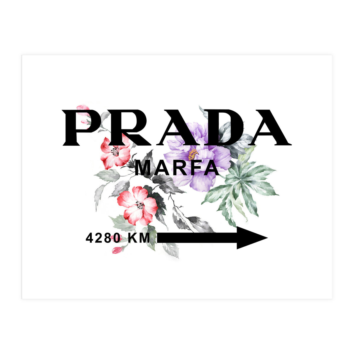 maco PRADA アートボード Francfranc PRADA アートボード Francfranc
