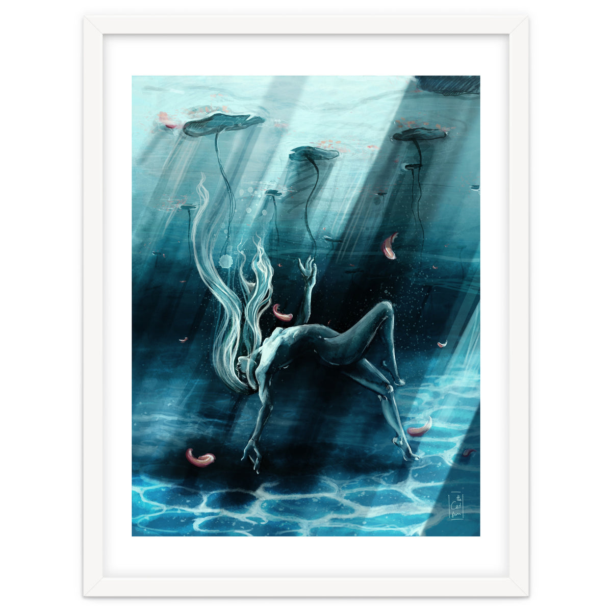 Dance of the Waterlily