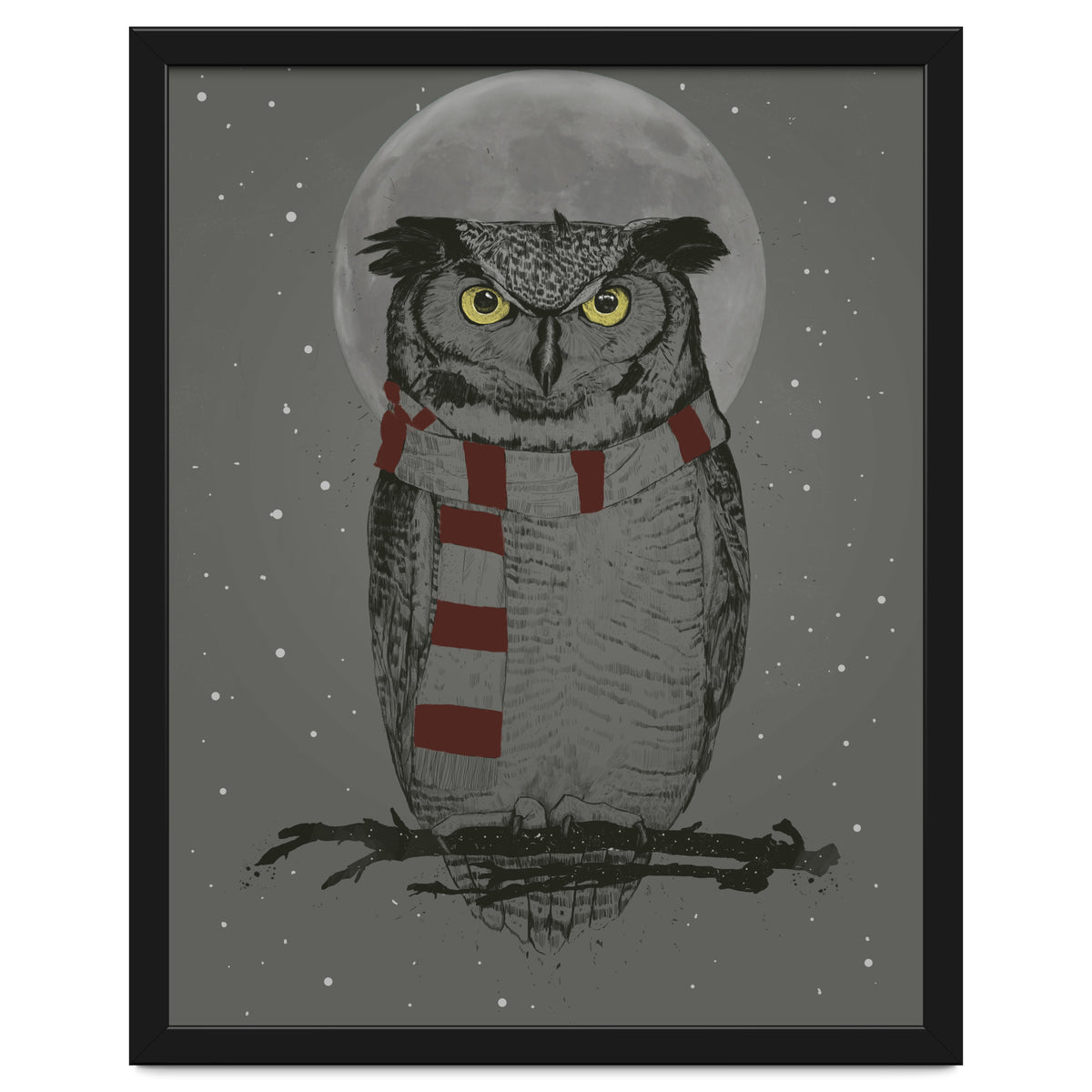 Winter Owl
