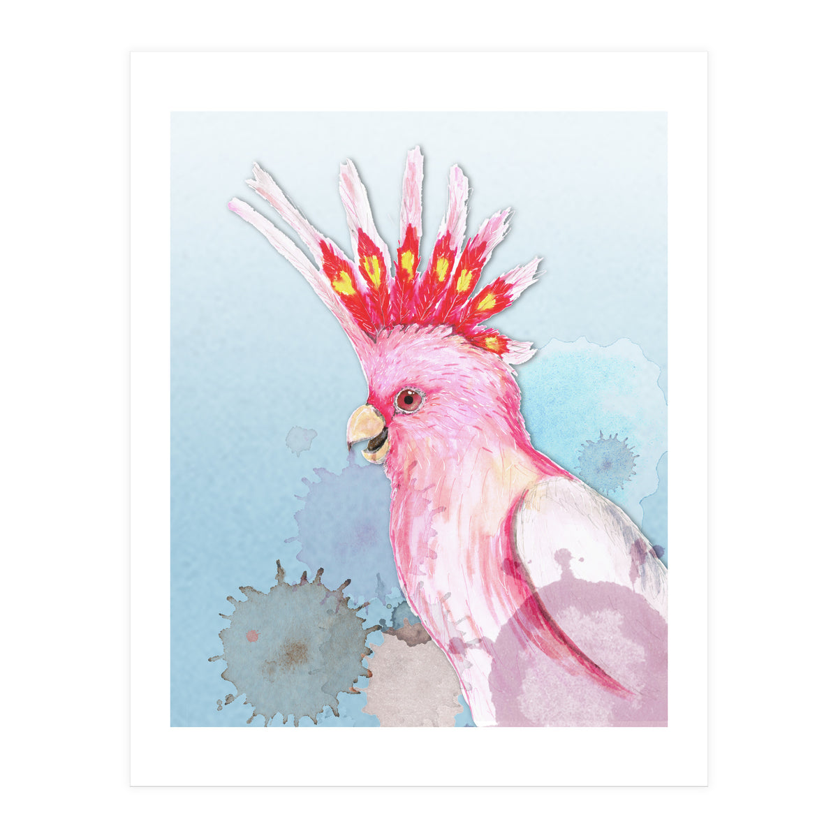 Major Mitchell's cockatoo (Print Only)