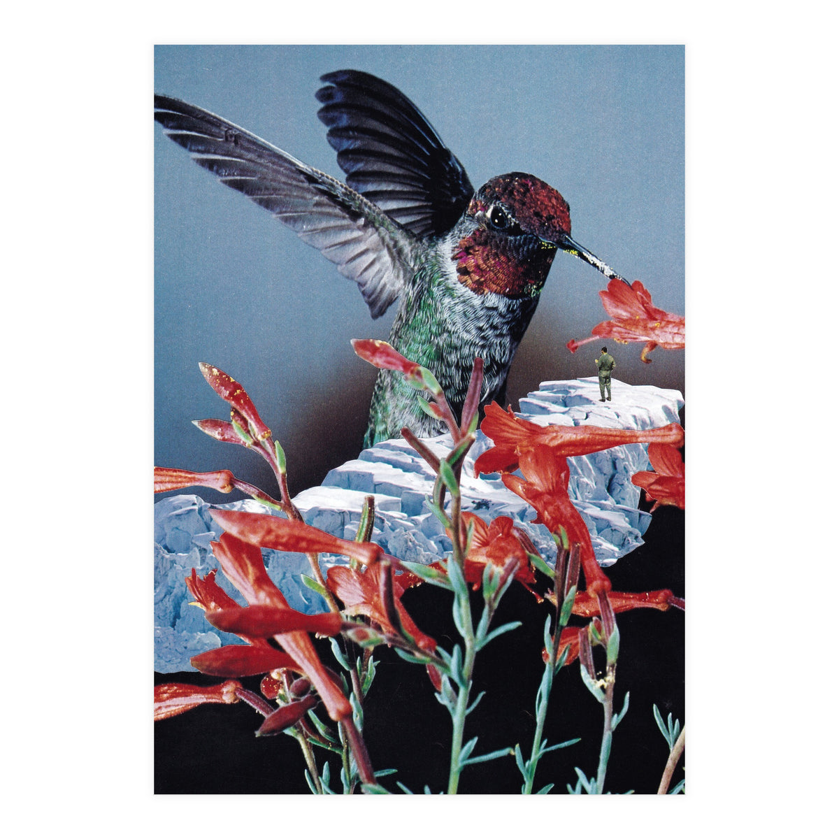 Bird Trainer (Print Only)