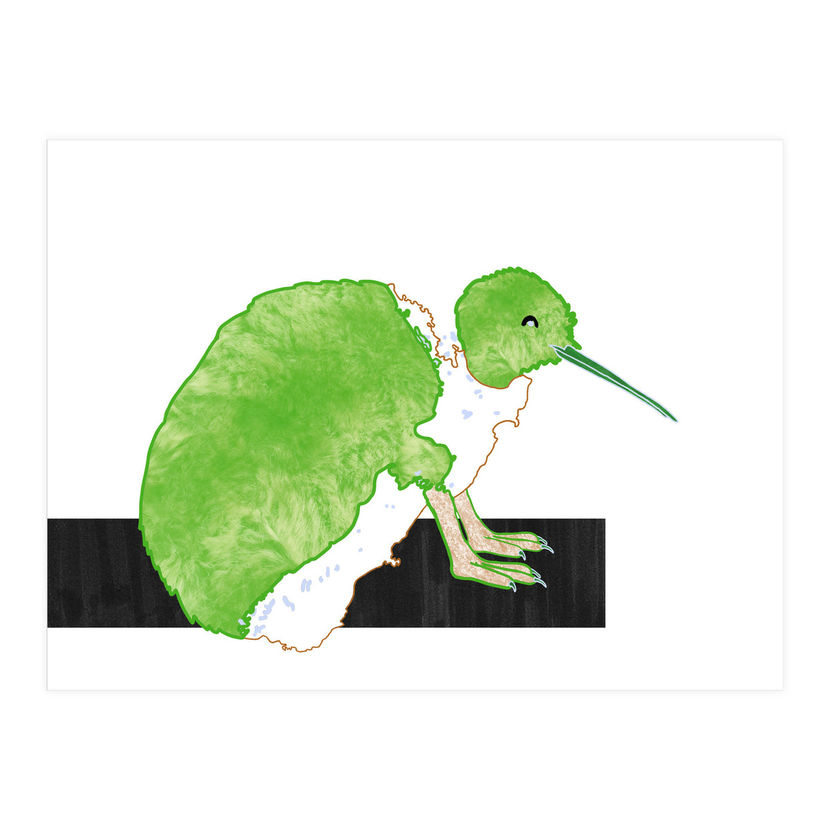New Zealand Kiwi (Print Only)