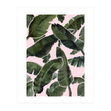 Palms (Print Only) thumbnail