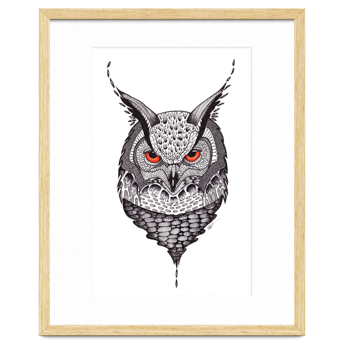 Owl