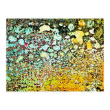 Sage (Print Only) thumbnail