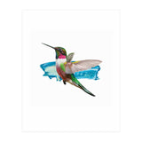 Modern Hummingbird II (Print Only) thumbnail