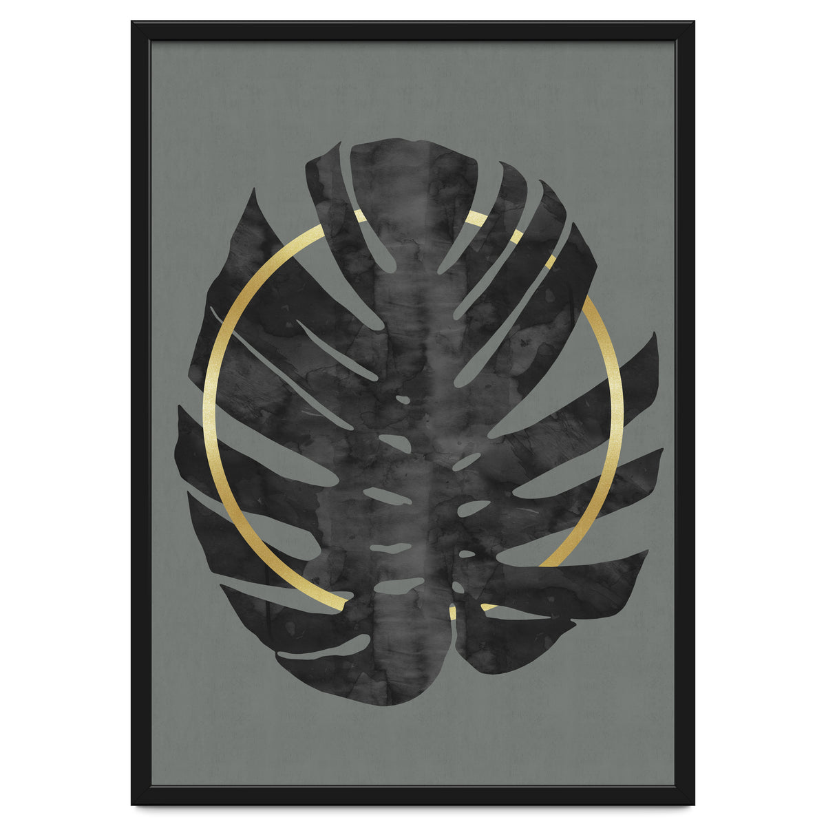 Monstera Deliciosa I