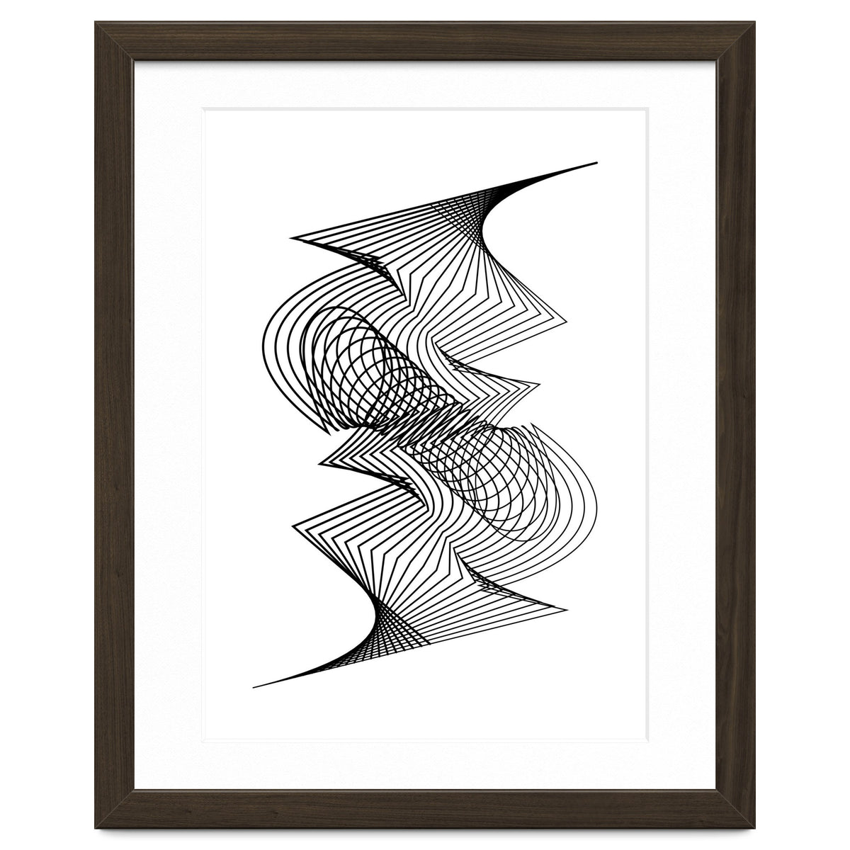 Organized Chaos_White