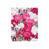 Despite The Forecast, Live Like It's Spring (Print Only) thumbnail