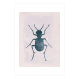 Beetle 1 (Print Only) thumbnail