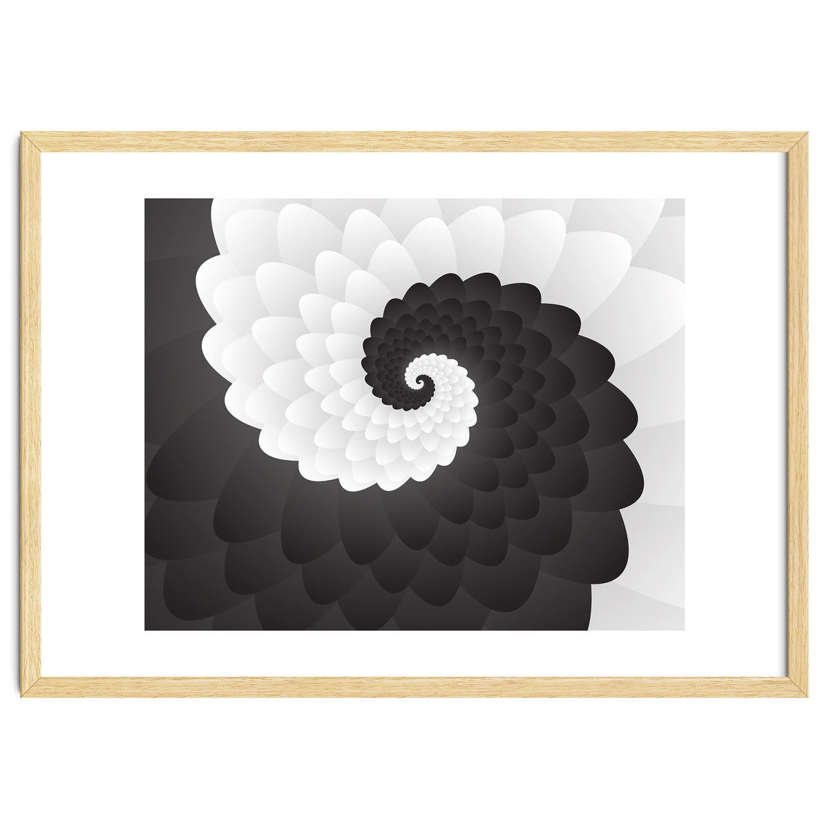 Mono Chrome Spiral Pattern