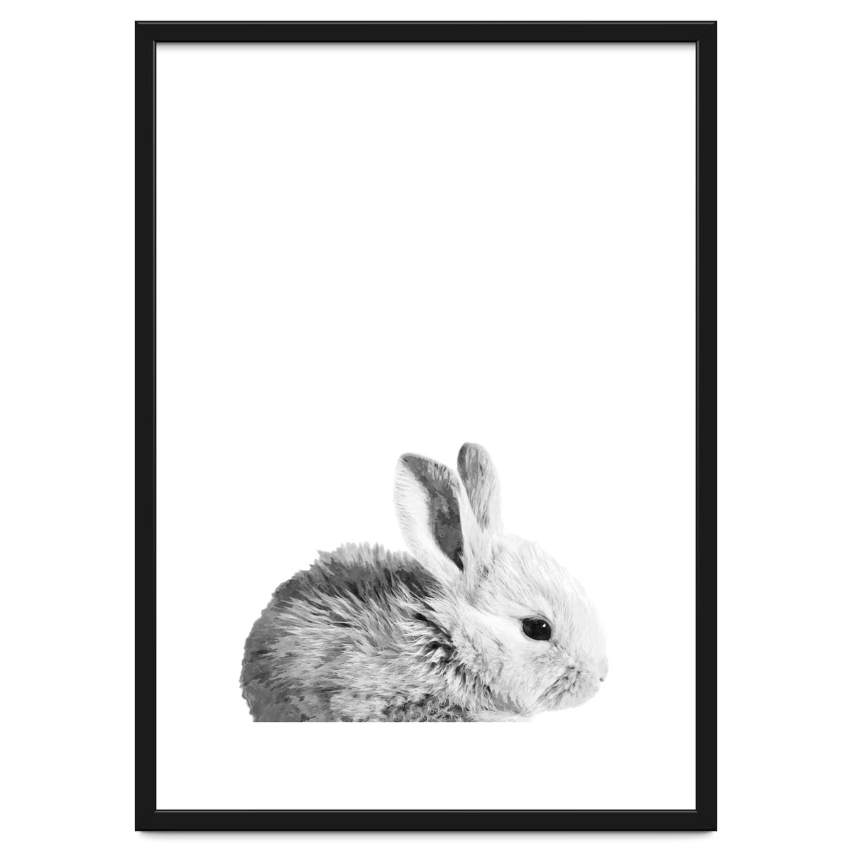 Black and White Bunny Portrait