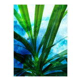 Remixed Spirit V1 (Print Only) thumbnail