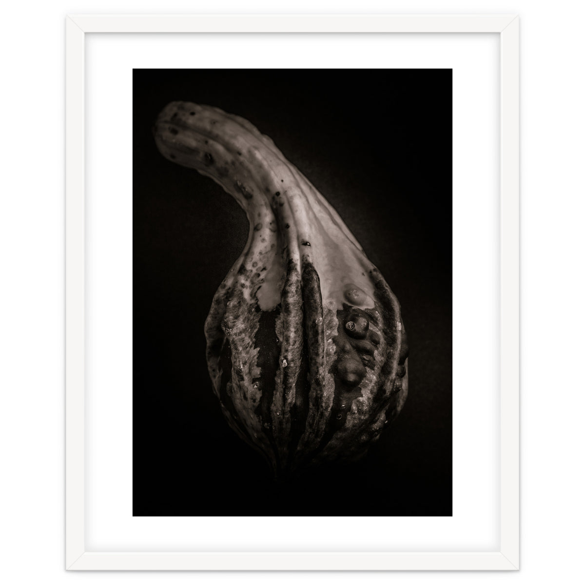 Gourds No 2