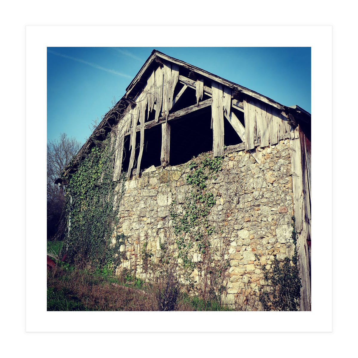 14 Fb156 B 6832 4 Ef7 9846 7817 Eea32976 (Print Only)