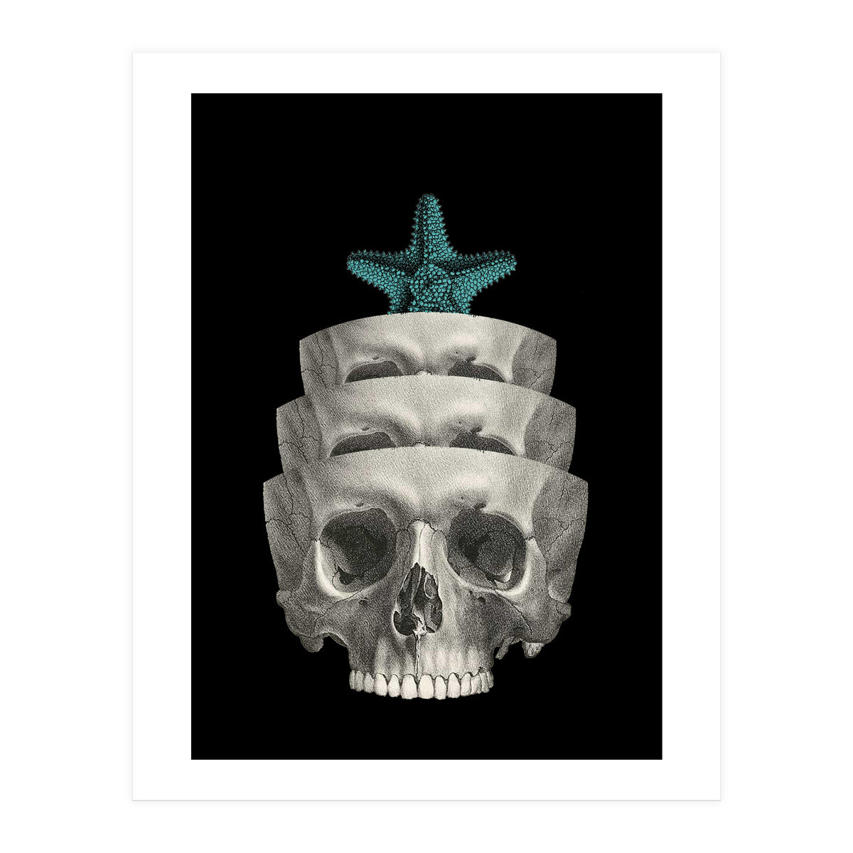 teschio (Print Only)