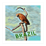 Brazilian resting Eagle (Print Only) thumbnail