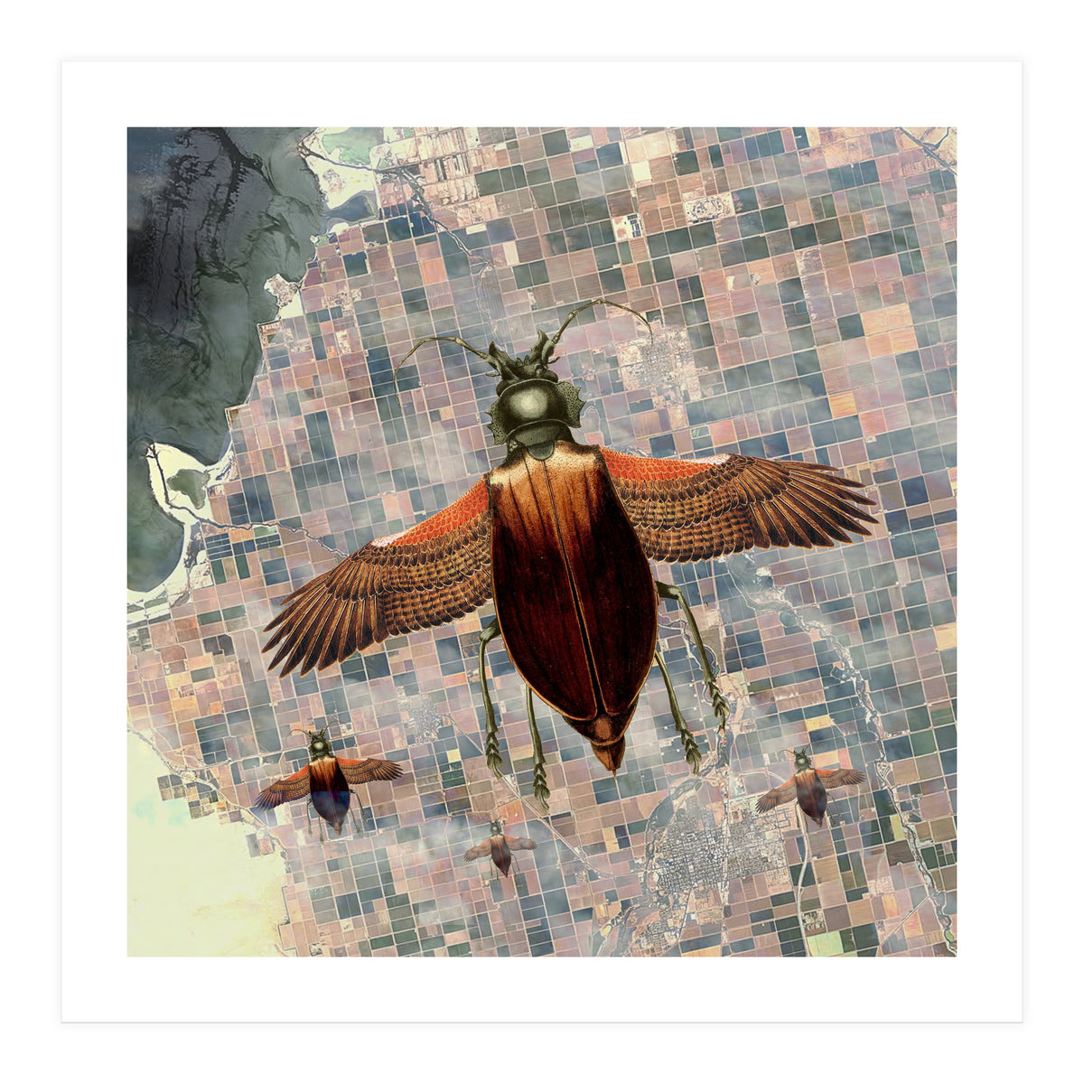 Flying High (Print Only)