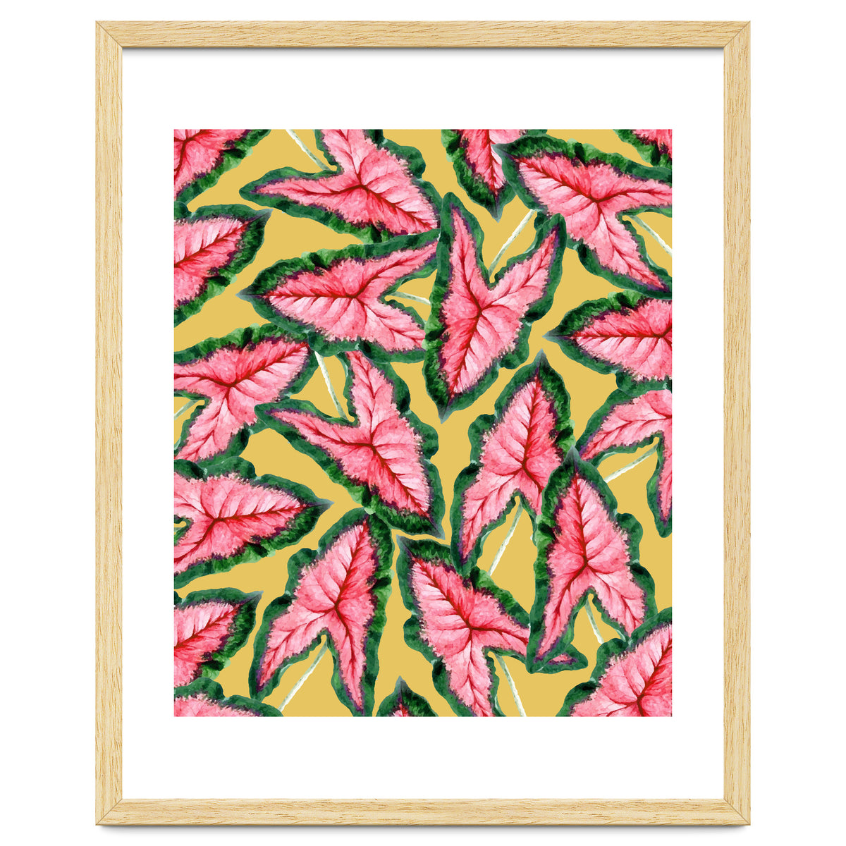 Caladium, Botanical Tropical Nature Plants, Vintage Bohemian Exotic Blush Leaves