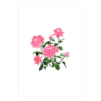 Rose V2 Art Print (Print Only)