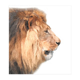 Lion Profile (Print Only) thumbnail