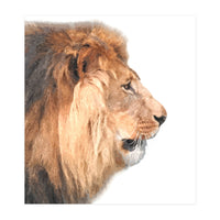 Lion Profile (Print Only)