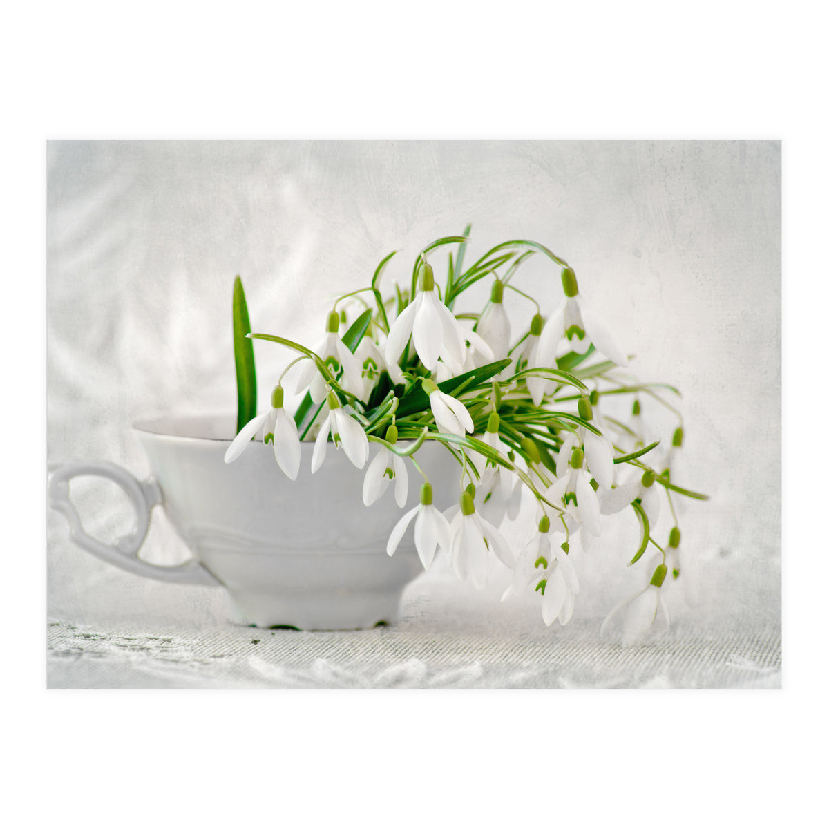 Snowflakes (Print Only)