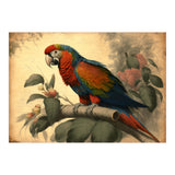 Parrot Vintage Painting (Print Only) thumbnail