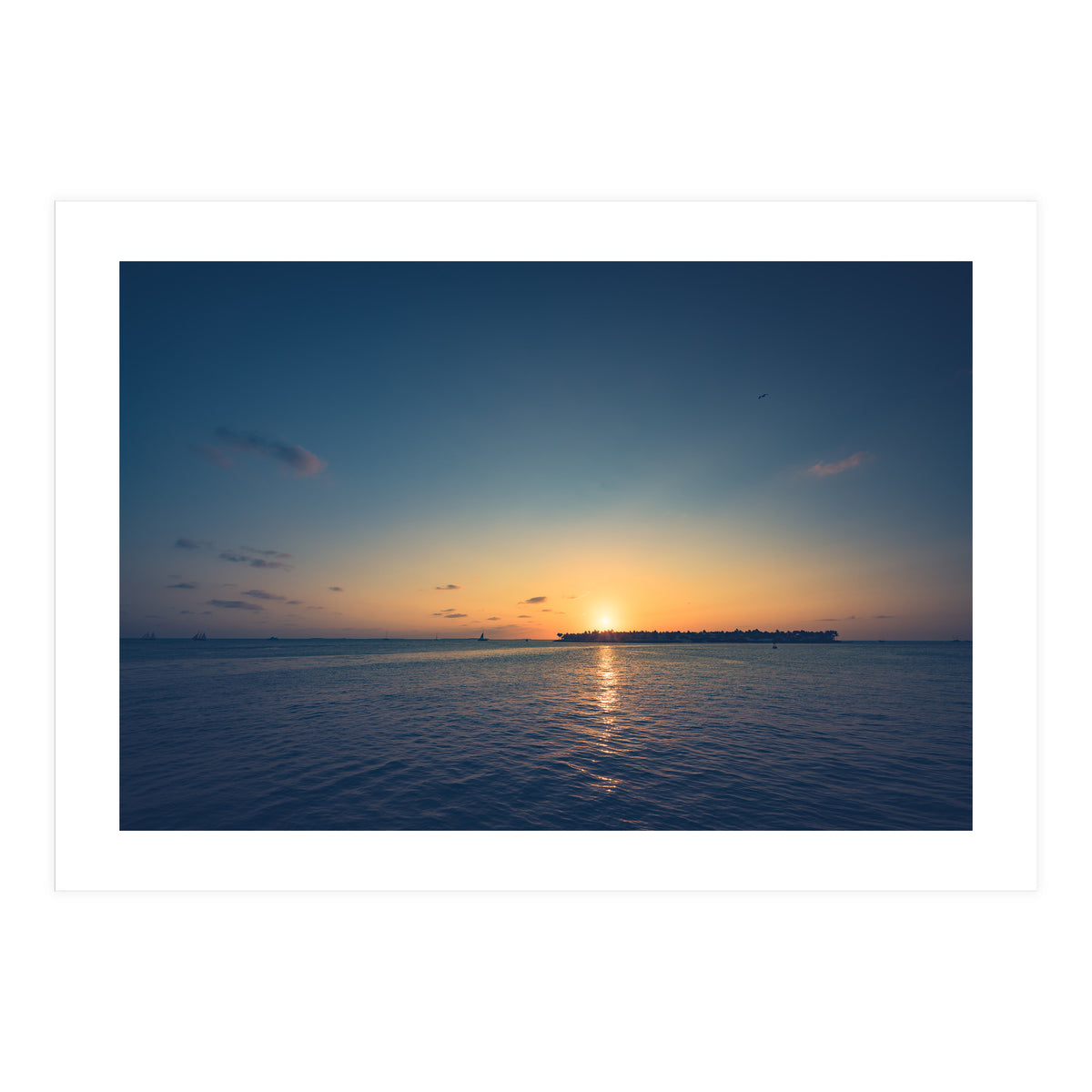 B'dazzled Blue (Print Only)