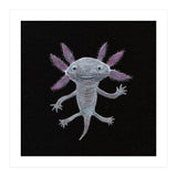 Axolotl (Print Only) thumbnail