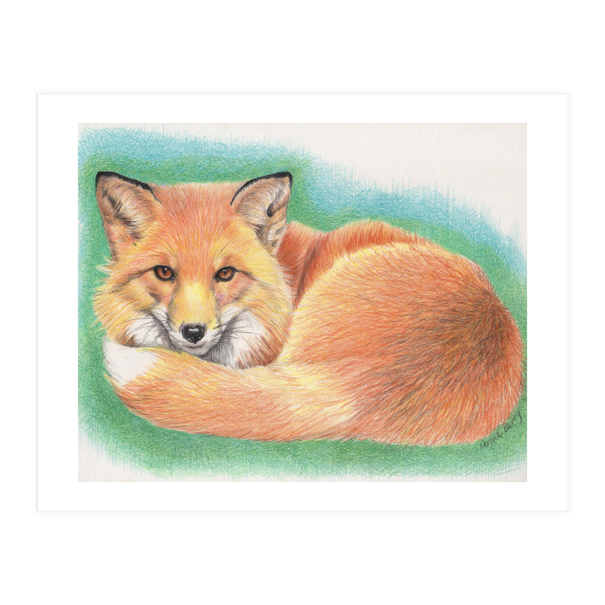 The Watcher (Print Only)