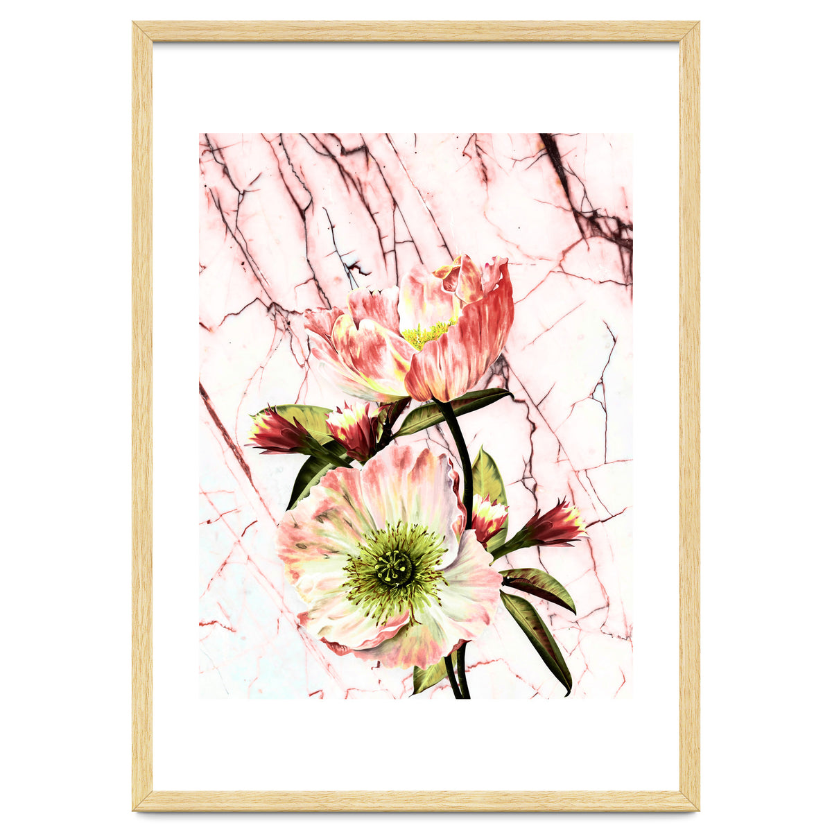 Flowering on pink marble