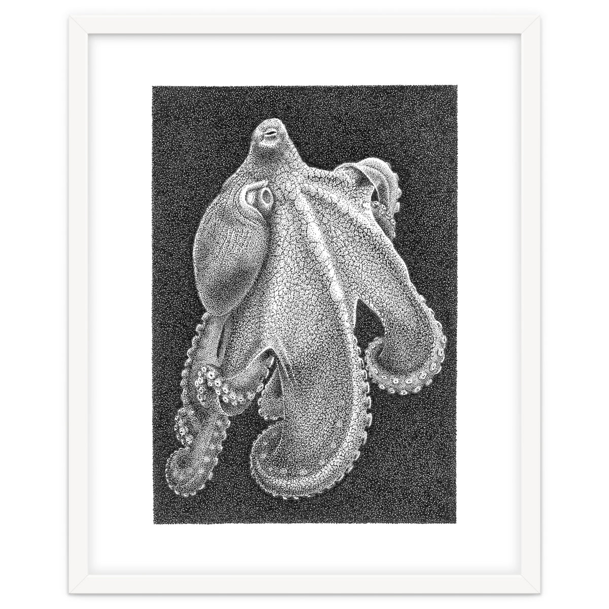 Octopus no. 2