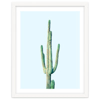 Loner Cactus