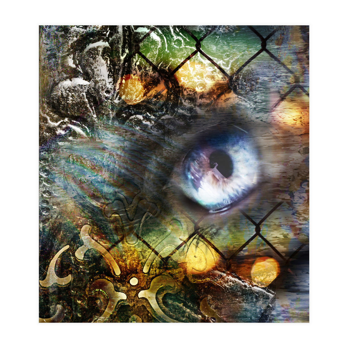 Perceptions (Print Only)