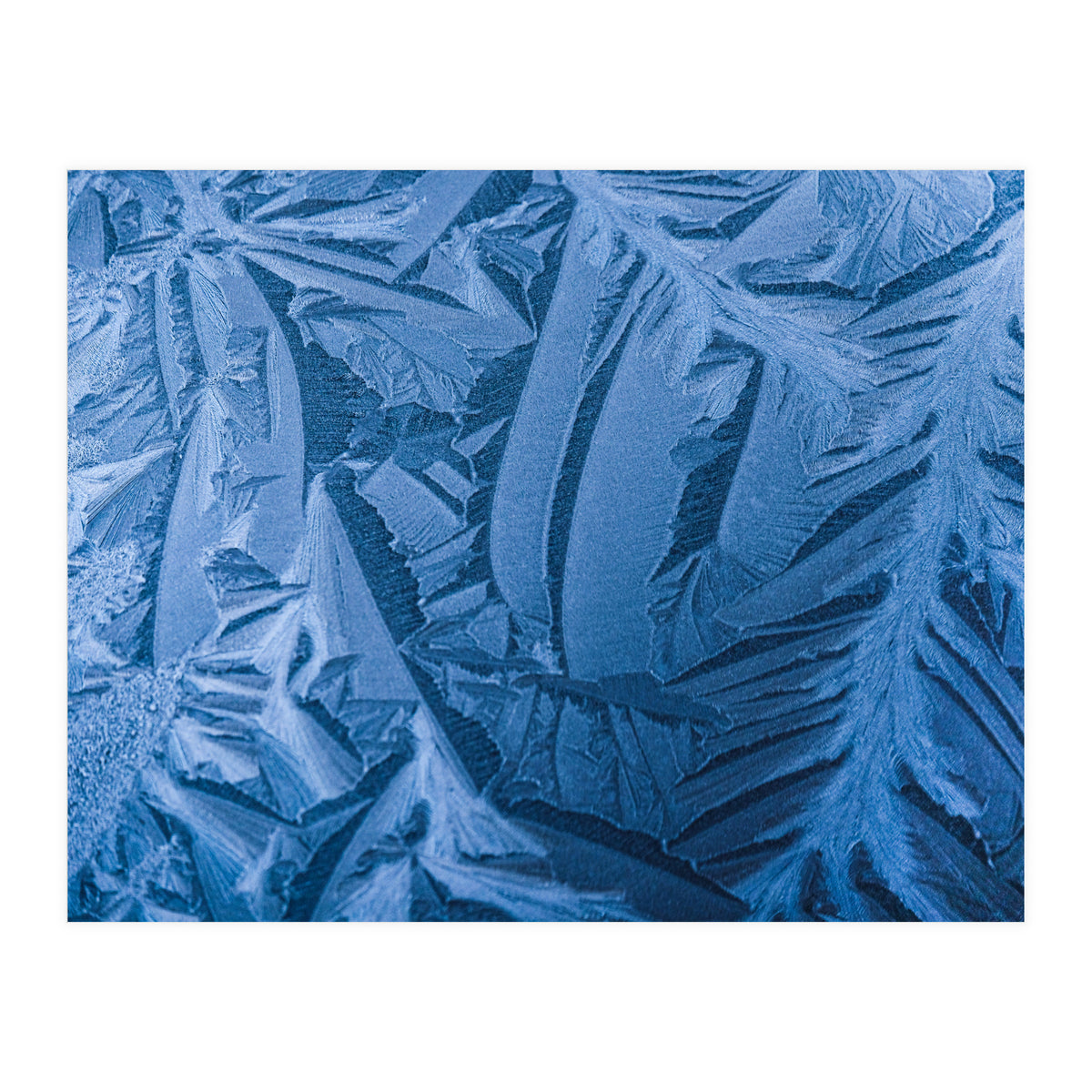 Ice Pattern Number 1 (Print Only)