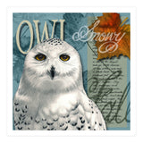 Snow Owl (Print Only) thumbnail