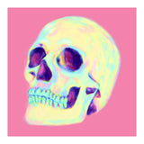Skull (Print Only) thumbnail